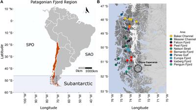 Influence of Estuarine Water on the Microbial Community Structure of Patagonian Fjords